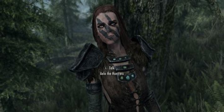 Aela the Huntress disappeared during Battle for Whiterun