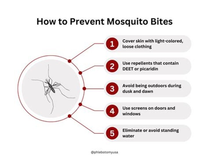 Are mosquito bites harmful or just annoying?