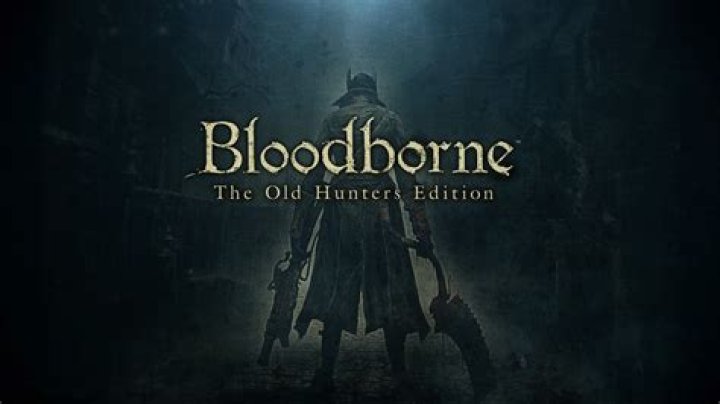 Bloodborne The Old Hunters purchase but no download