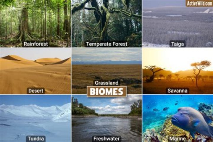 Can I change the biome of the world?