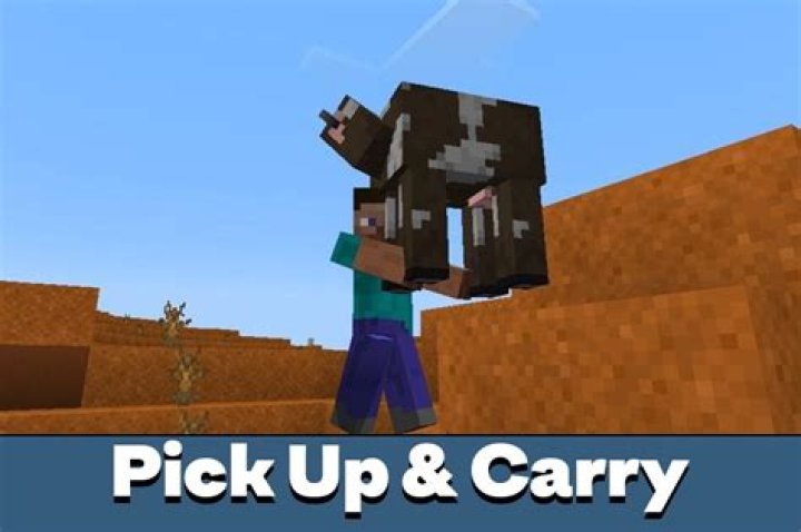 Can you pick up animals in adventure mode in Minecraft Earth?