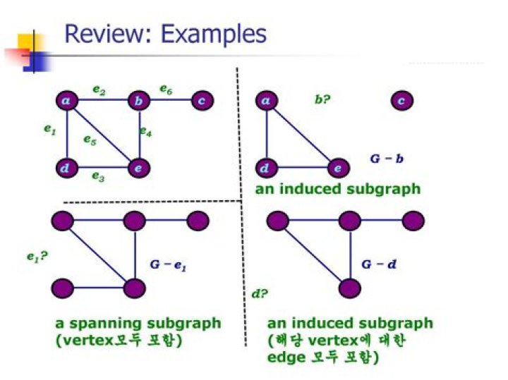 Difference between a sub graph and induced sub graph.