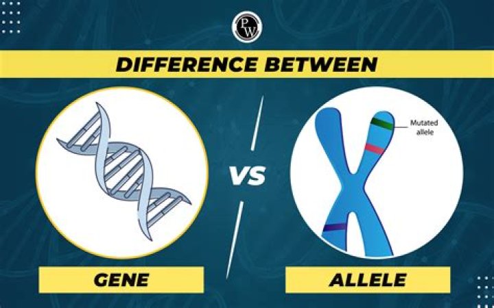 Difference between plasmids and gene tonics?