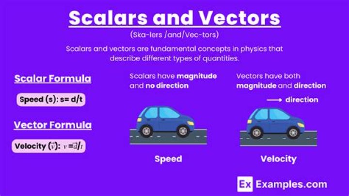 Difference between vectors and span