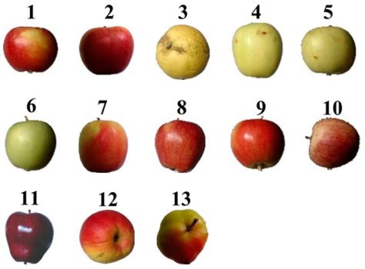 Difference between zero apples and zero oranges. [closed]