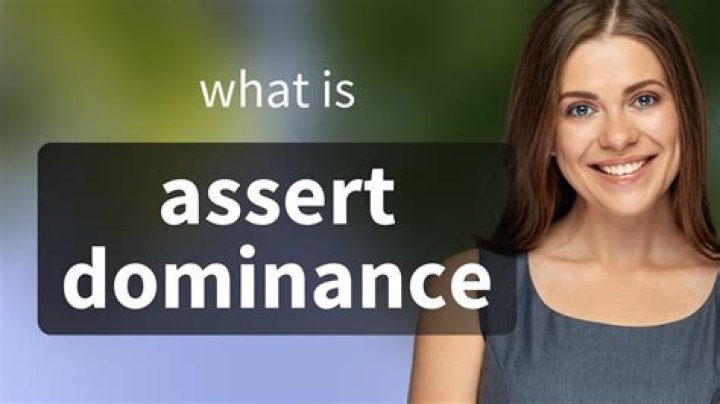 Do "assert" and "prove" mean the same thing?