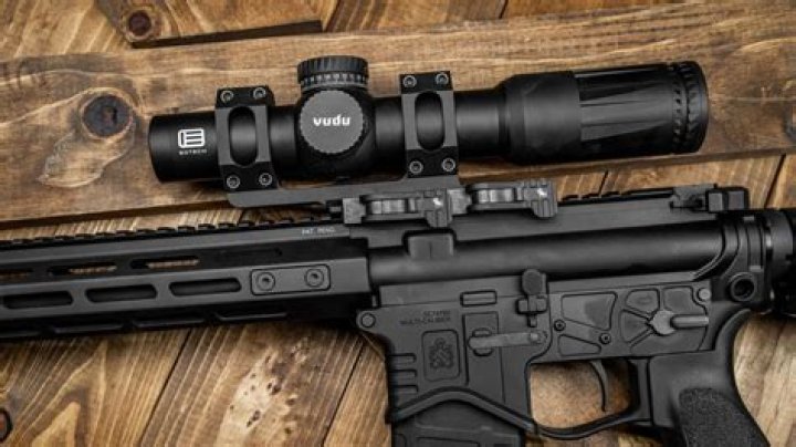 Do companions aim down sight or hip fire?