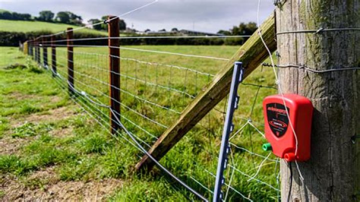 Do my animals need fences?