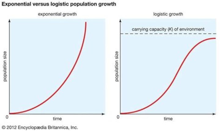 Exponential vs Polynomial running time