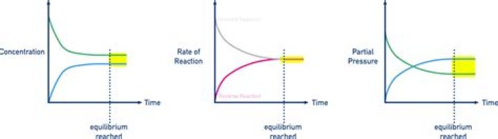 find the equilibrium point of this equation