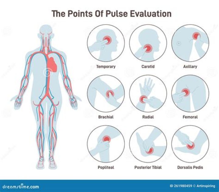 Find the limit points and exterior points of the following