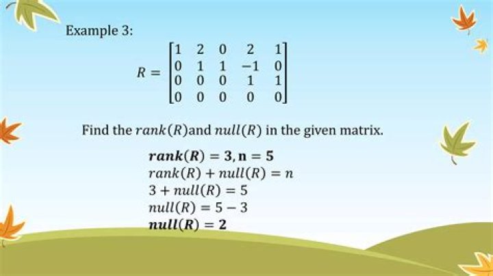Finding rank-nullity of a given matices