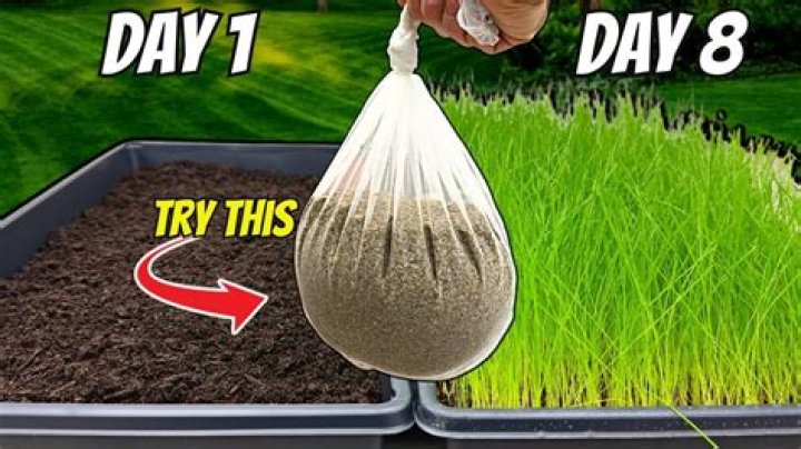 Grass doesn't grow