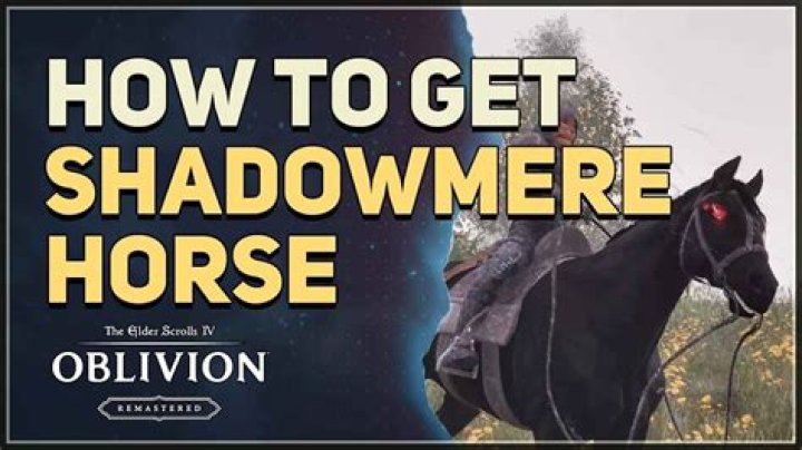How can I get Shadowmere to stop following me?