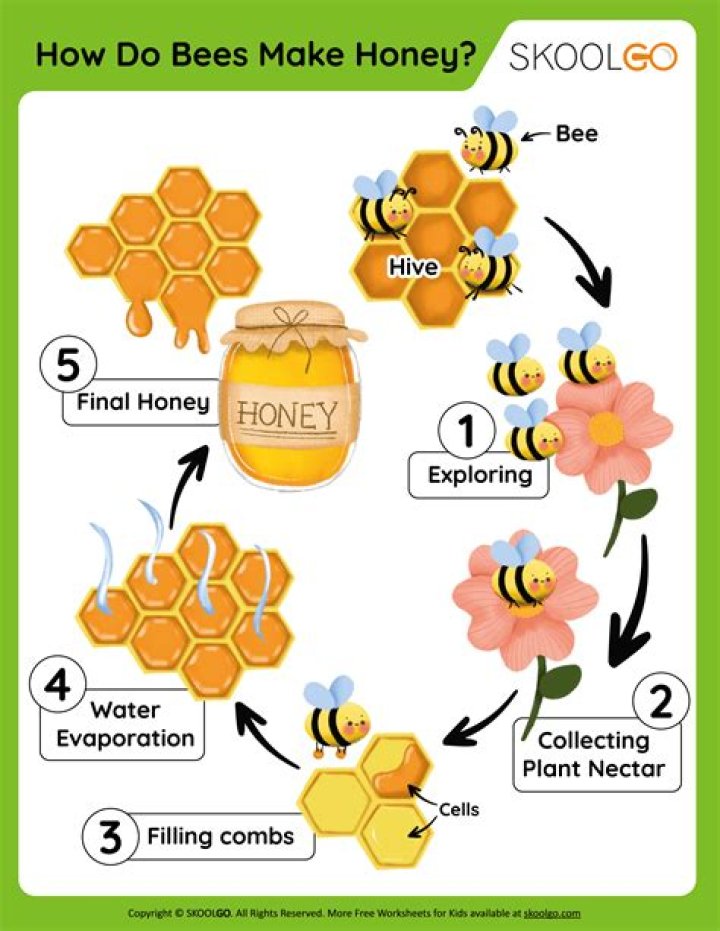 How do Forestry Bee Comb production chance work?