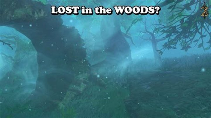 How do I get through the Lost Woods?