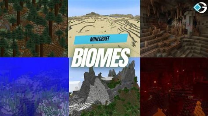 How do Minecraft biomes work?