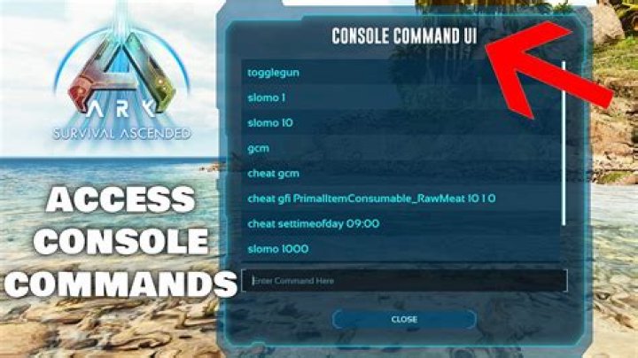 How do you open / enable the console in Single Player mode?