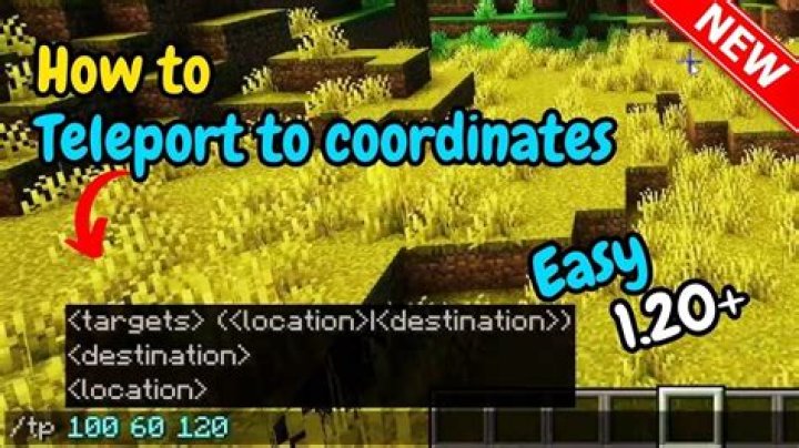 How do you teleport players at specific coordinates?