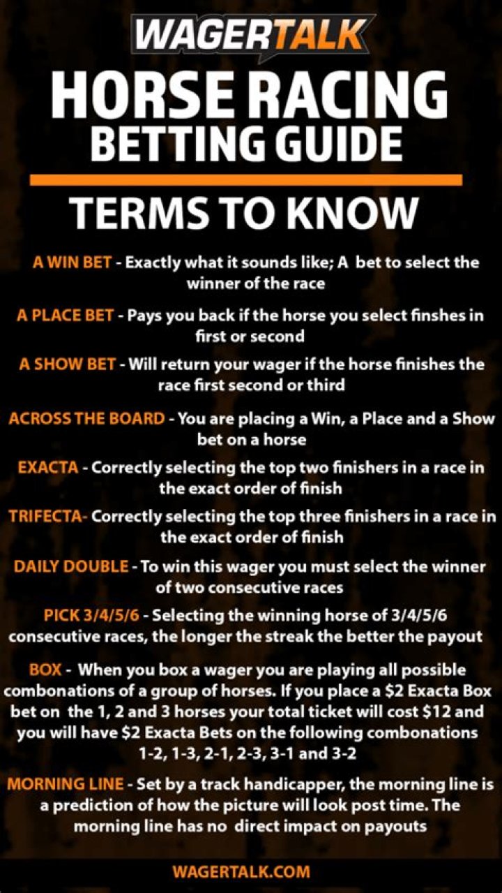 How does the betting work for the races in GTA V Online?