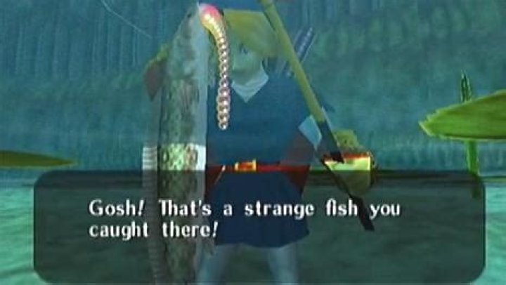 How to catch the Hylian Loach fish in Ocarina of Time
