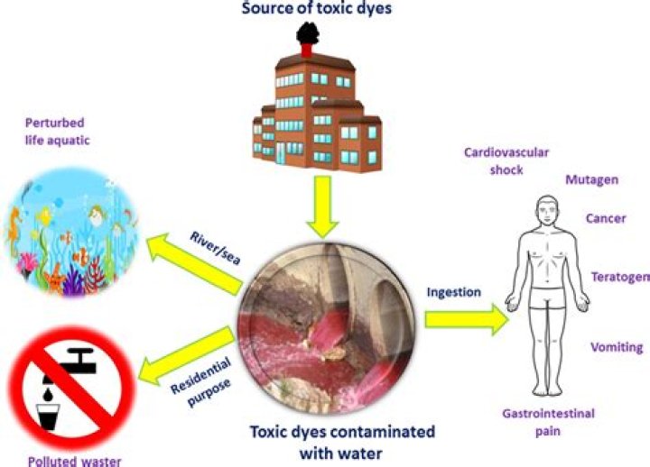 How to get rid of the toxic waste in Capital City Runoff?