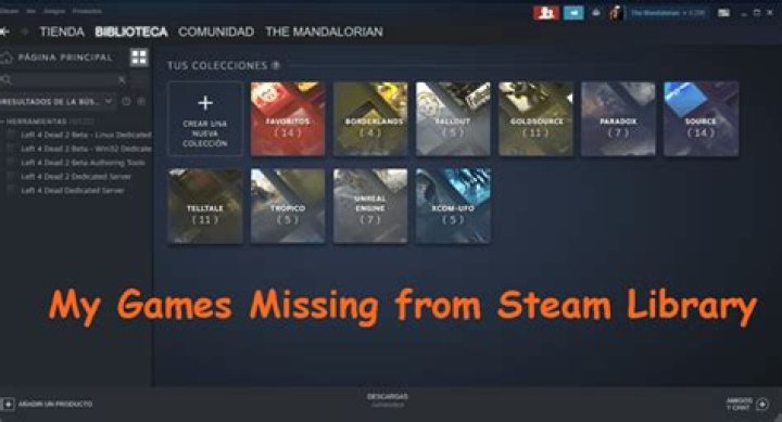 How to review a game in Steam library?