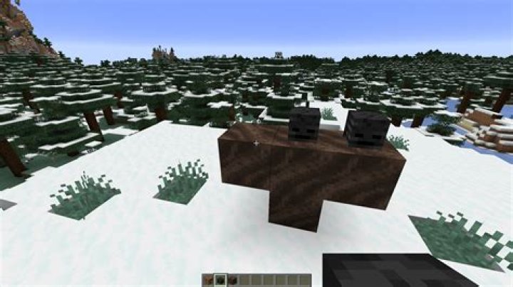 How to spawn the wither