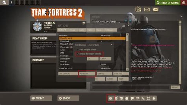 Is it possible to use cheats on an Offline TF2 server without getting VAC banned?