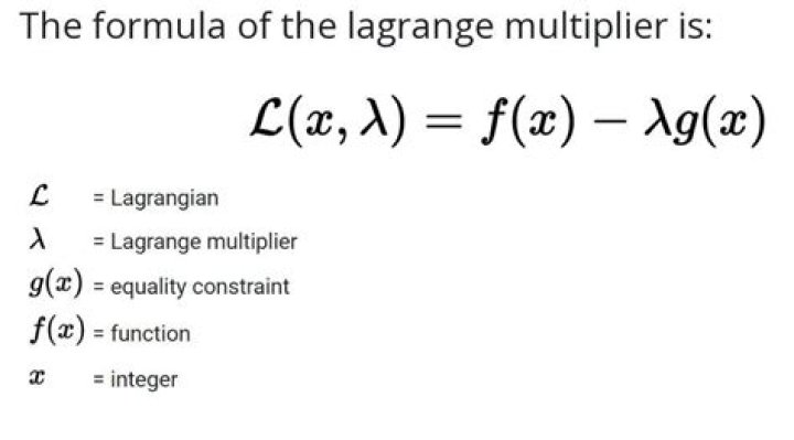Lagrange Multiplier when one variable is equal to zero?