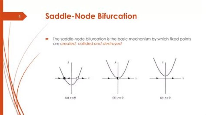 Meaning of a bifurcation? Meaning of bifurcation diagrams?