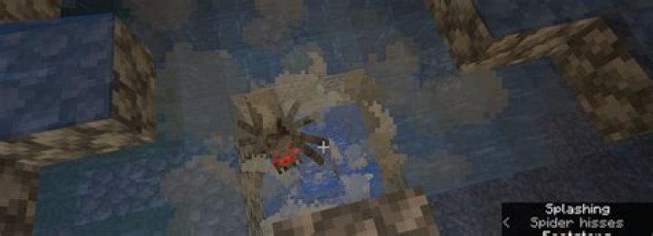 Minecraft(Java edition) Mob farm will not kill spiders