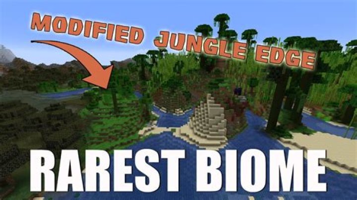 My world doesn't have a Jungle biome?