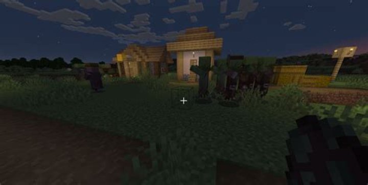 Naturally spawned Zombie Village?