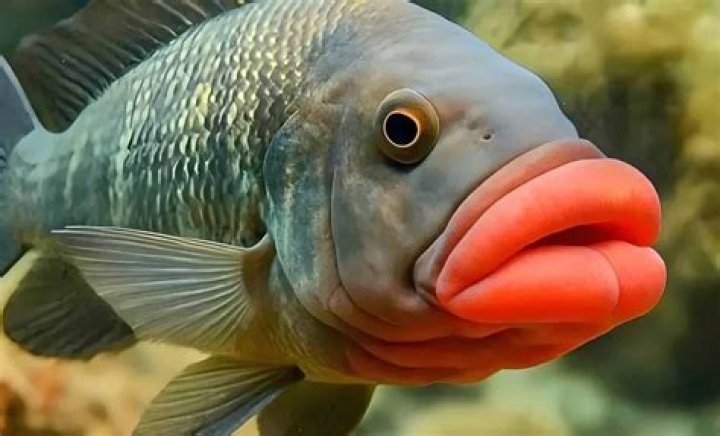 Poisson paradigm [closed]