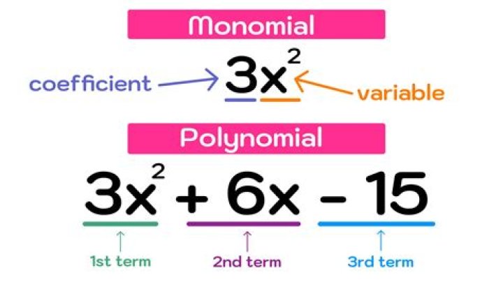 Quotient of two polynomials with integer coefficients