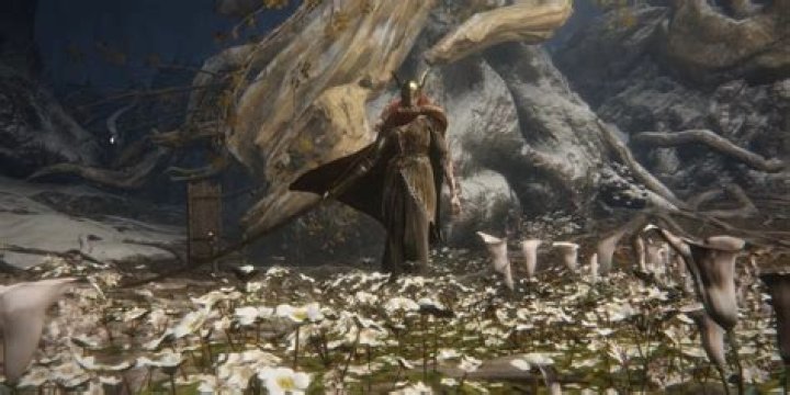Solitude Guards do not respawn anymore