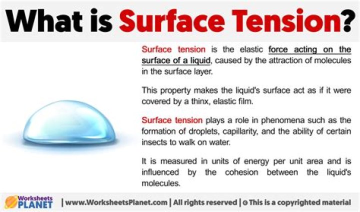 the definition of the area of a surface