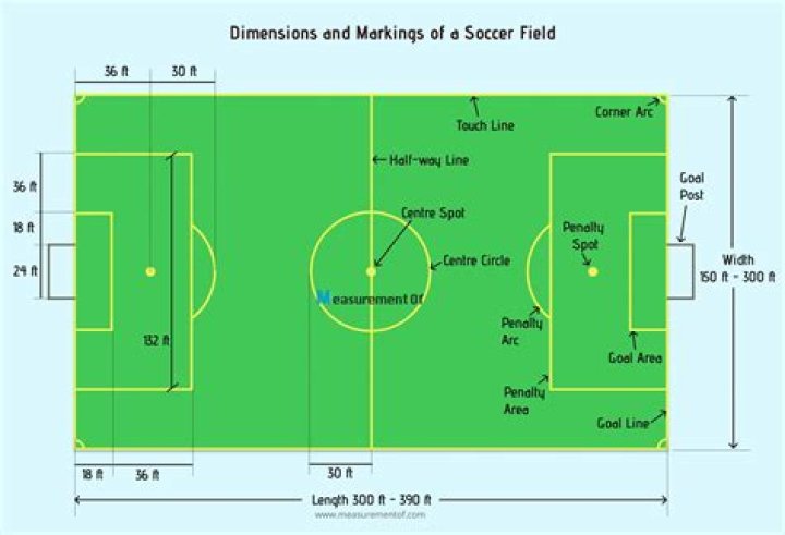 Tor dimension of a field