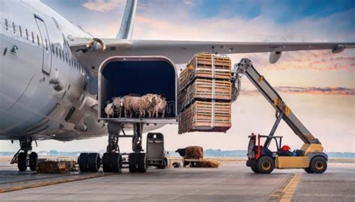 Unloading animals from minecarts
