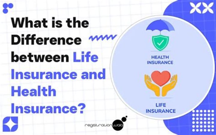 What's the difference between life, health, armour and shield?