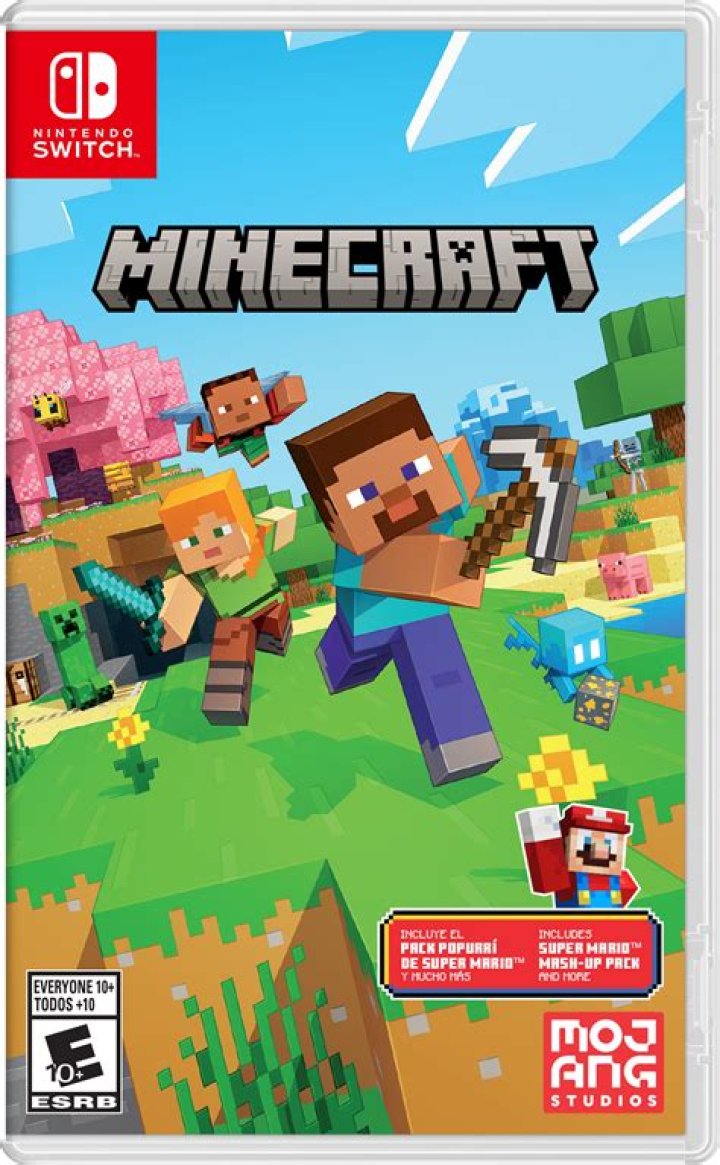 What's the difference between "Minecraft: Nintendo Switch Edition" and "Minecraft"?