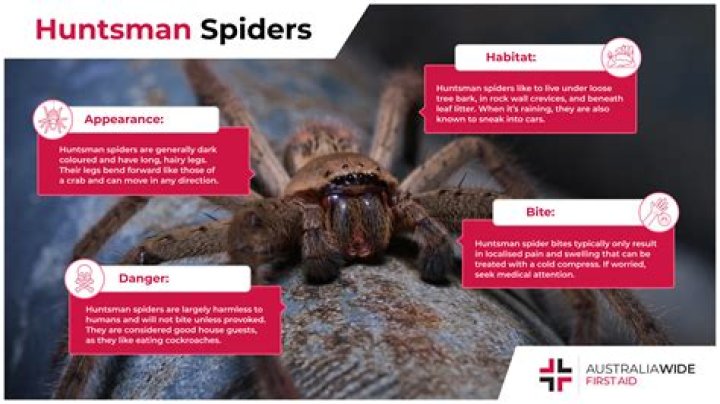What's the Huntsman's headshot criteria?