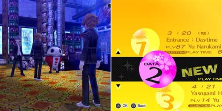 What carries over in New Game Plus?