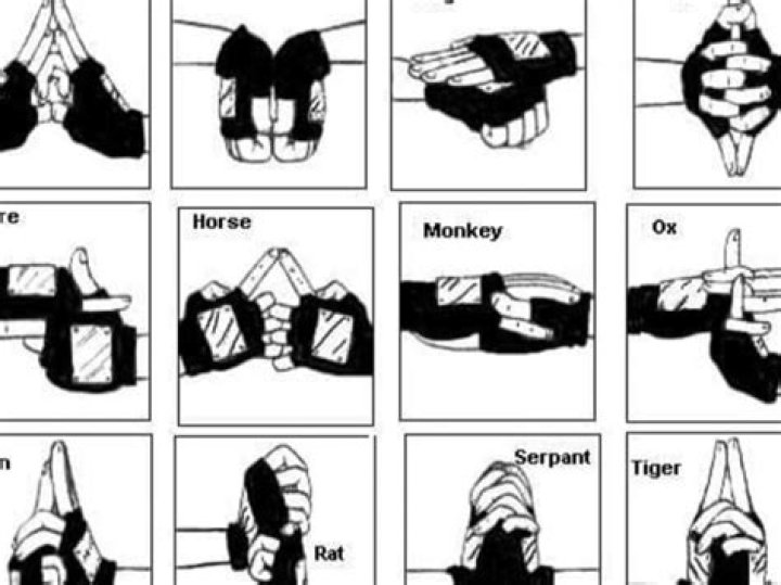 What does it mean to use Substitution Jutsu?