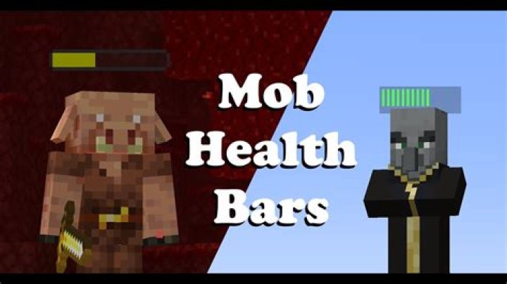 What does the bars above the health bar mean?