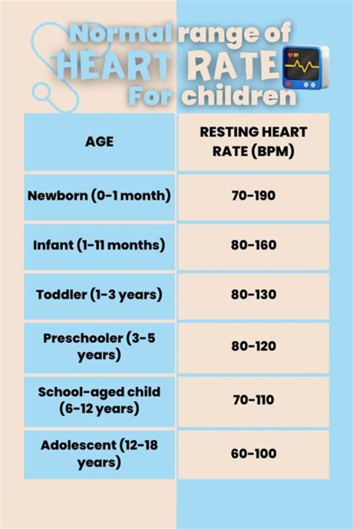 What does the Childs Heart do?