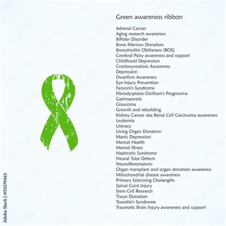 What does the green bowtie ribbon represent?