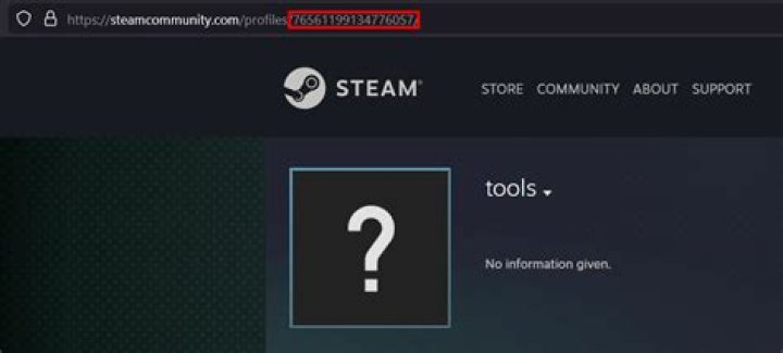 What is Steam? DRM?