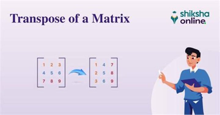 What is the difference between a vector and its transpose?